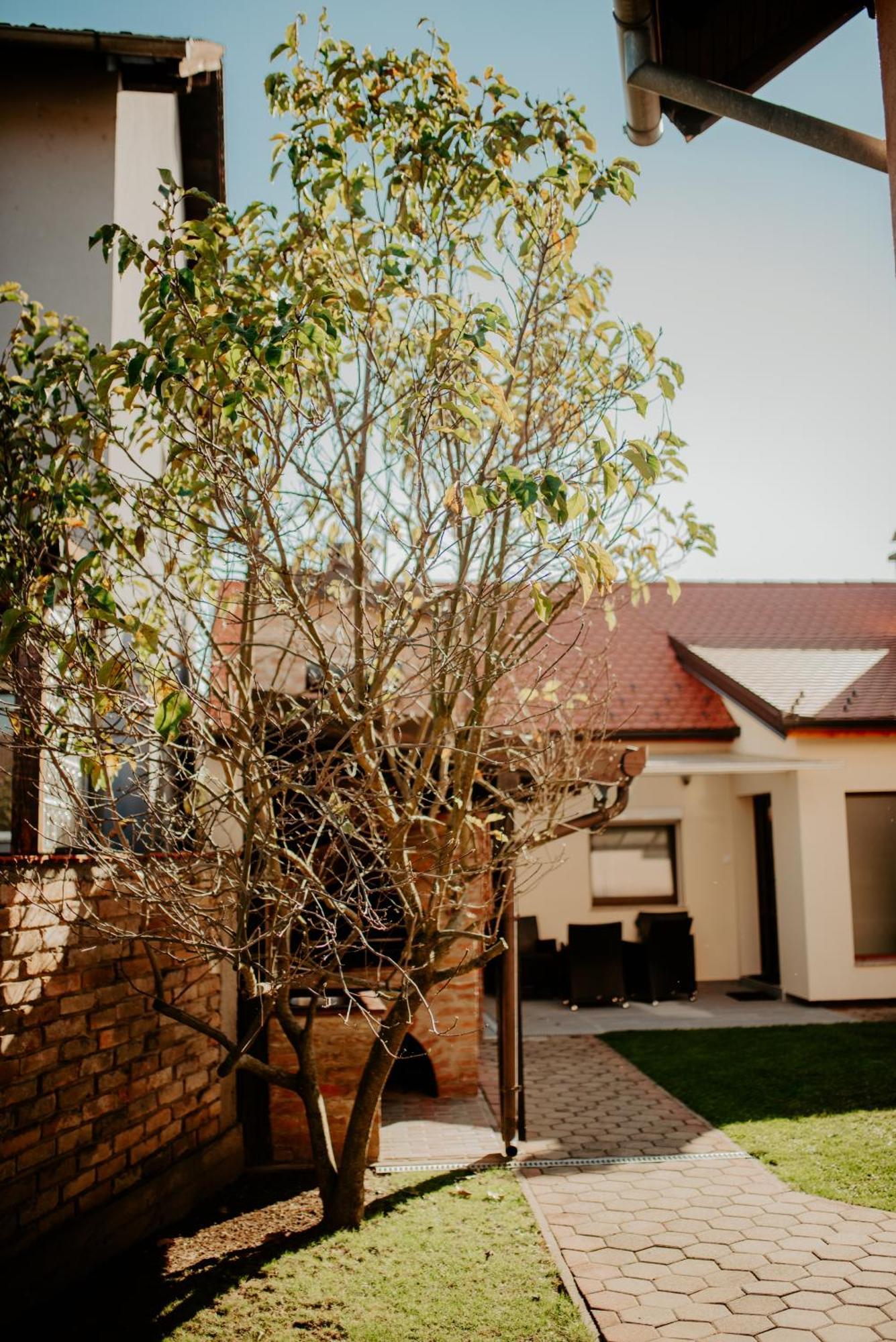 Peric - Apartment